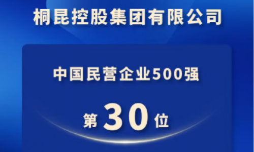 桐昆，中国民营企业500强第30位！